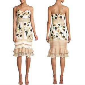 PatBo | NWT Fruta Printed Fitted Midi Dress in Cream - Size US 10